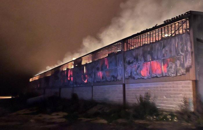 BAIGNEUX-LES-JUIFS: Incendio en una explotación que produce aceite de colza