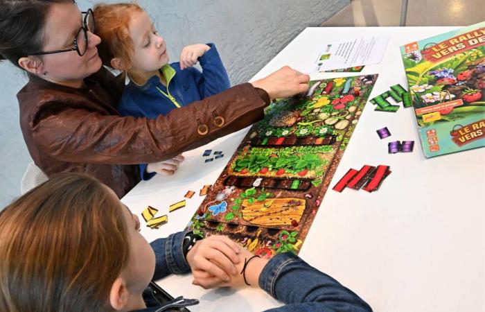 En Creuse, podrá probar los juegos de mesa en la biblioteca multimedia del Grand Guéret.