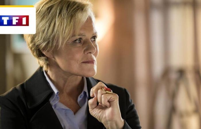 Master Crimes en TF1: ¿la serie con Muriel Robin tendrá una temporada 3? – Serie de noticias en TV