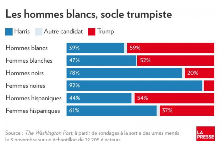 ¿Quién votó por Trump? | La prensa