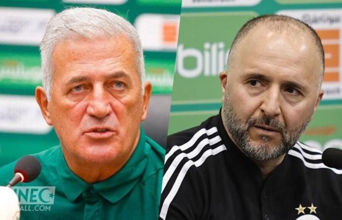 El ferviente defensa de Belmadi ataca a Petkovic