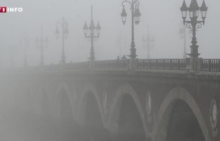 “En Mulhouse no veíamos esto desde 1988”: ¿por qué hay tanta niebla este otoño en Francia?