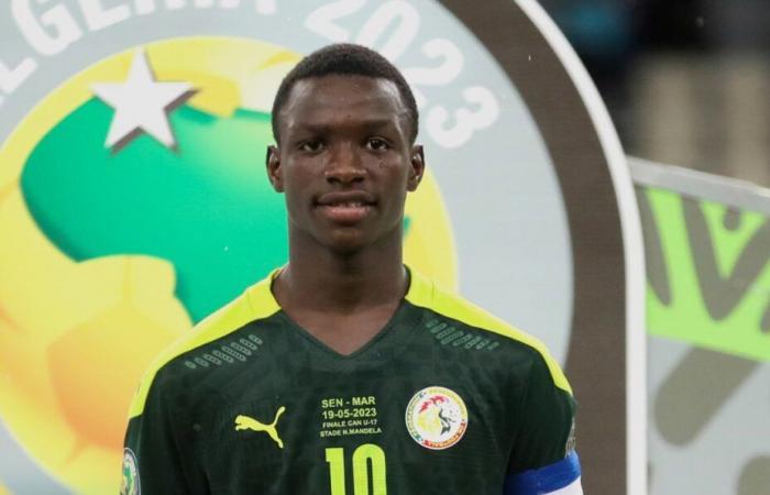 ¡La pepita senegalesa Amara Diouf pronto estará disponible gratis!