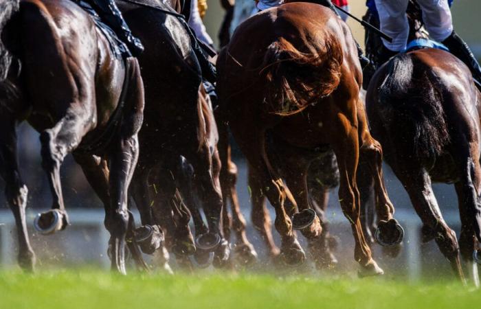 ¿Por qué no hay carreras de caballos en Francia este jueves?