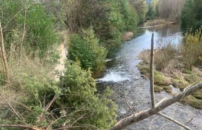 Terrible accidente en Hérault: atraviesa la barrera de la A75, cae a la carretera principal, vuelca y acaba en el río