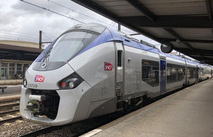 Las regiones de Borgoña-Franco Condado y Auvernia-Ródano-Alpes acusan a la SNCF de mala gestión