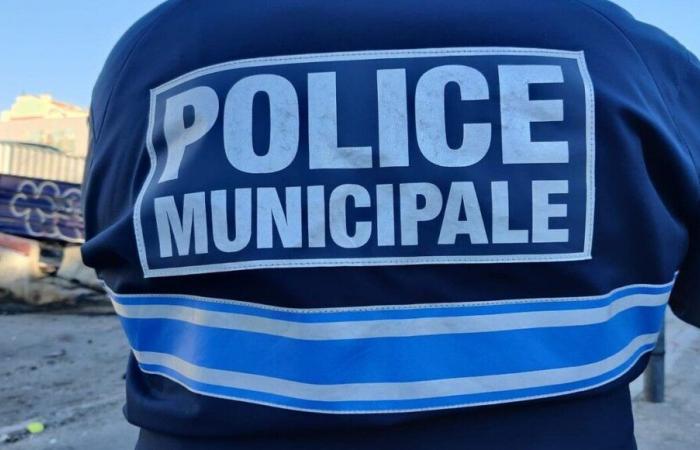 Chambéry: a los 16 años alquiló un coche y atropelló a un policía