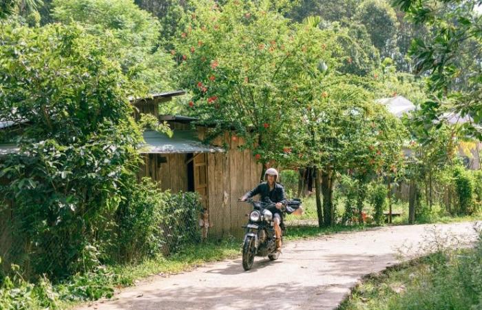 Lugar ‘curativo’ en Quang Nam atrae a turistas a acampar, escapar del polvo y perseguir nubes – Vietnam.vn