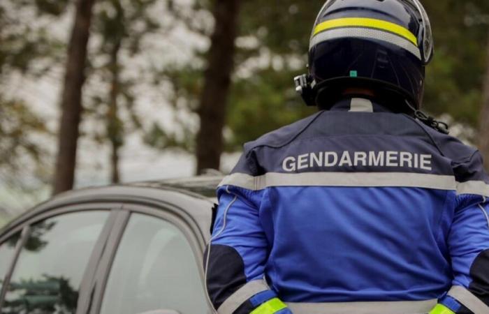 Relajado en primera instancia, un joven fue citado posteriormente por robo y encubrimiento de robo en el Marne