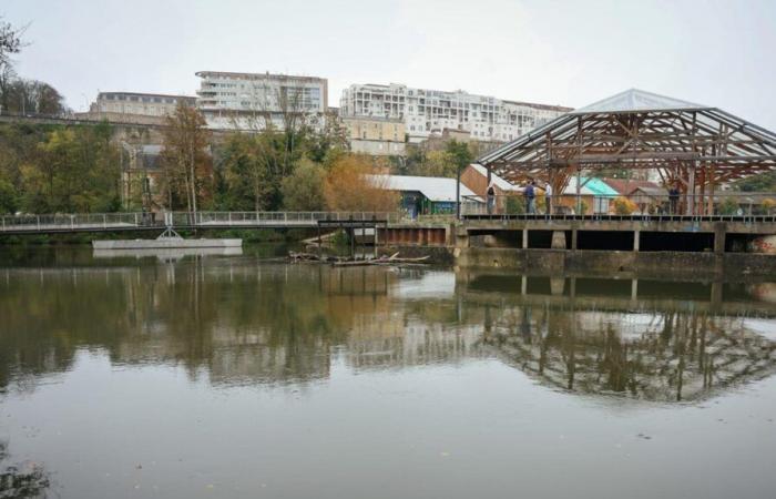 Un cadáver fue encontrado en el Clain de Poitiers.