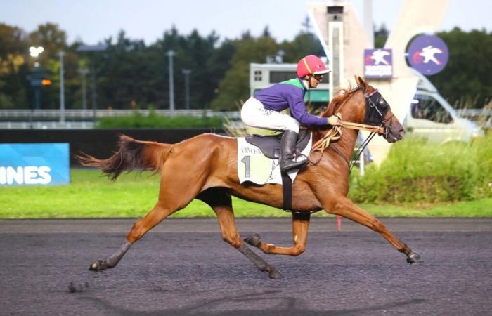 Viernes 8 de noviembre en Vincennes