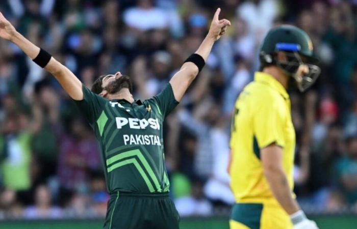 Australia vs Pakistán 2do ODI, puntuación en vivo: Haris Rauf devuelve a Marnus Labuschagne en Adelaida | AUS