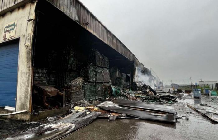 Dunkerque: las instalaciones de la empresa Kalifrais completamente destruidas por un incendio