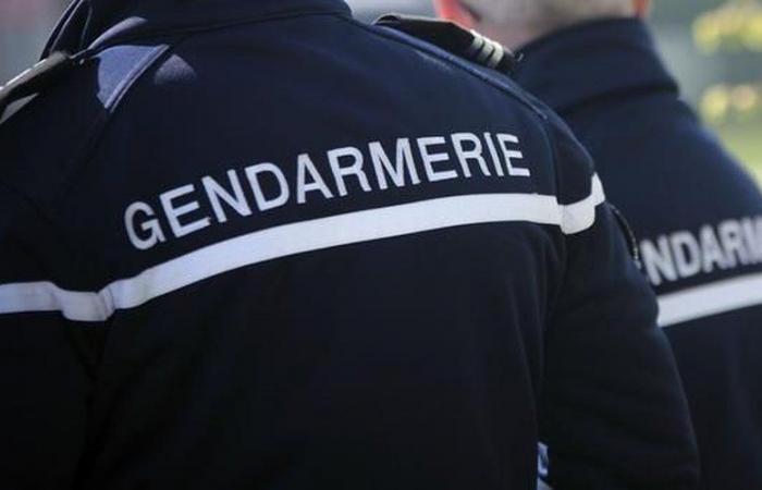 Los gendarmes fueron recibidos con golpes e insultos mientras intentaban poner fin a una violenta disputa doméstica en Aveyron.