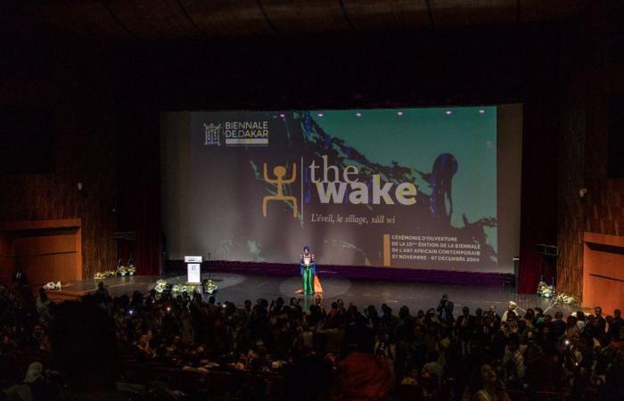 La diseñadora gráfica martiniquesa Agnès Brézéphin recibe el Gran Premio de la Bienal de Arte Contemporáneo de Dakar