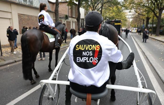 Hipódromos cerrados, manifestación en París, la “reacción de supervivencia” del mundo de las carreras de caballos