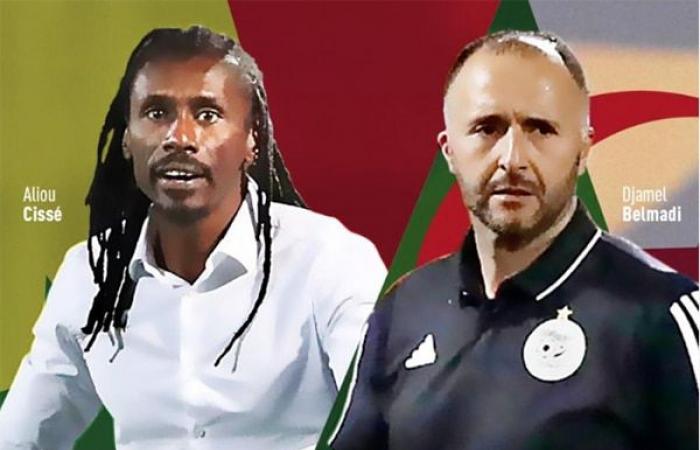 En el banquillo – Argelia-Senegal: Djamel Belmadi-Aliou Cissé, dos entrenadores XXL en paro – Lequotidien