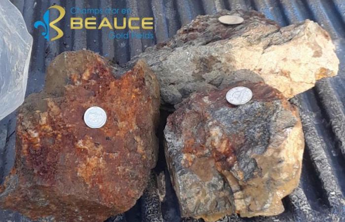 Champs D’Or En Beauce descubre nuevos afloramientos mineralizados que se alinean con la estructura antiforme del “arrecife de silla de montar”