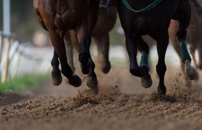 No habrá carreras de caballos en Francia este jueves, lo que explica esta ausencia rarísima