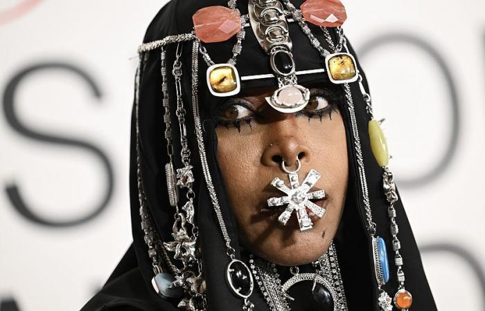 Erykah Badu, nuevo ícono de la moda y próxima actriz