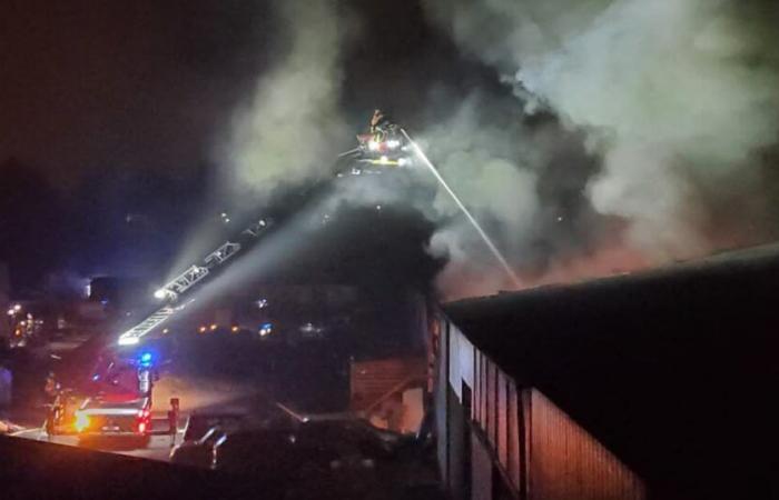 Colmar. Un violento incendio azota un gran almacén