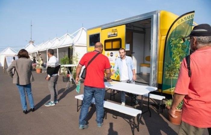 Bpifrance y la región de La Reunión organizaron el primer “Encuentro Co Crea” sobre el emprendimiento en los barrios. Con este motivo, Bpifrance y Initiative Réunion inauguraron el primer “Bus del emprendimiento” en el extranjero – Bpifrance 2024