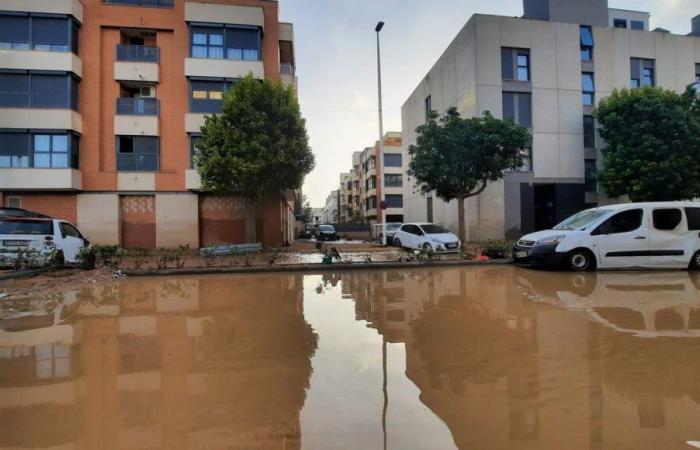 Inundaciones en España: la solidaridad se organiza en Vaucluse