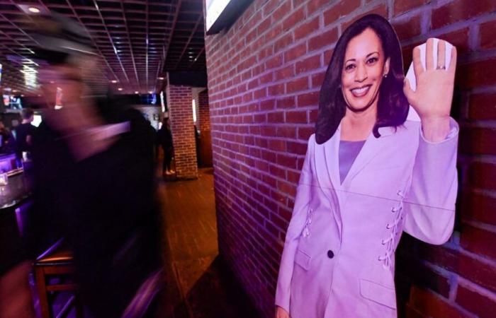 ¿Cómo explicar la derrota electoral de Kamala Harris, ampliamente derrotada por Donald Trump?