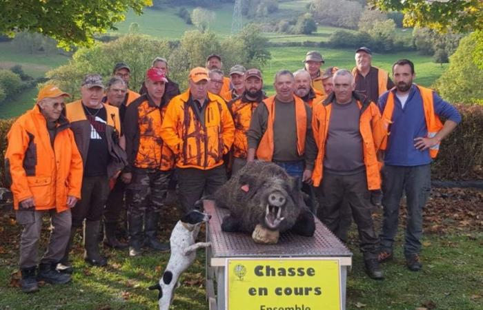 Fin del aplauso para Phiphi, el jabalí estrella del Aveyron