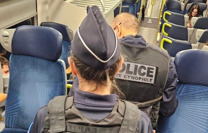 Tarn. En el tren, huye cuando ve a la policía: entendemos por qué…