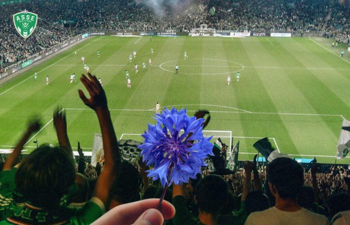 Un fin de semana dedicado al Bleuet de France en todos los campos de fútbol profesional