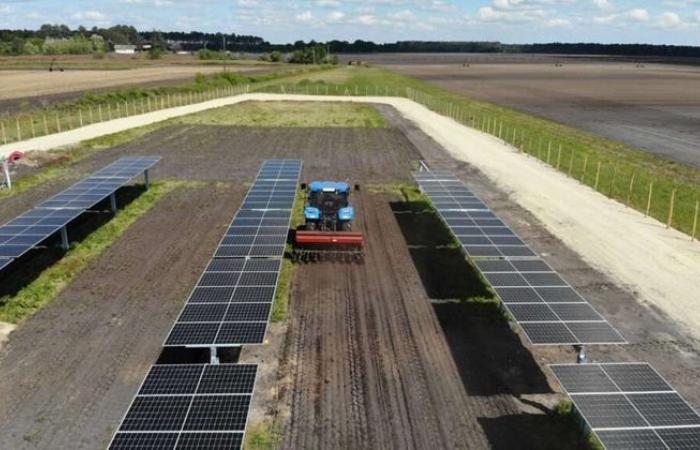 La agricultura solar se arraiga en Losse