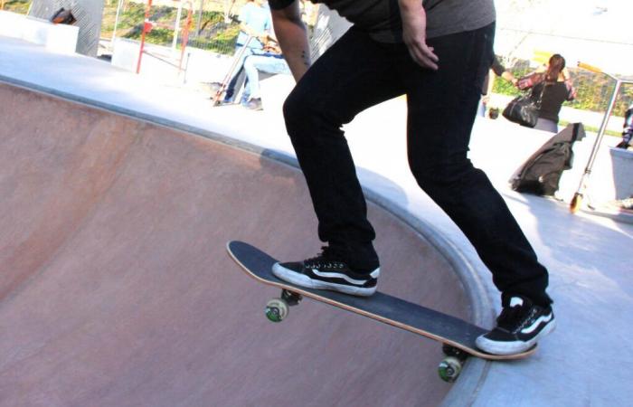 Este skatepark de Saboya generó polémica: he aquí por qué