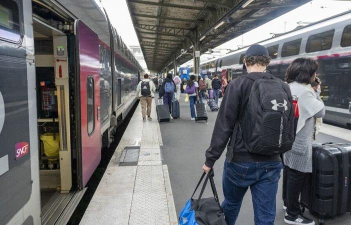 Tiempo de viaje, ciudades sin servicio, obras de renovación… Lo que les espera a los viajeros de la línea TGV París-Lyon durante el fin de semana del 11 de noviembre