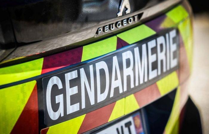 “Los gendarmes querían registrarme como criminal organizado”: ​​un cazador del sur de Aveyron acusado de posesión de armas no declaradas