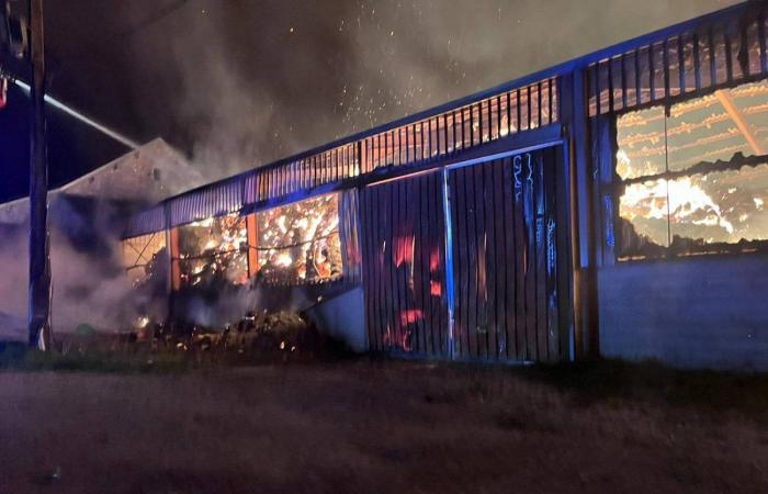 BAIGNEUX-LES-JUIFS: Incendio en una explotación que produce aceite de colza