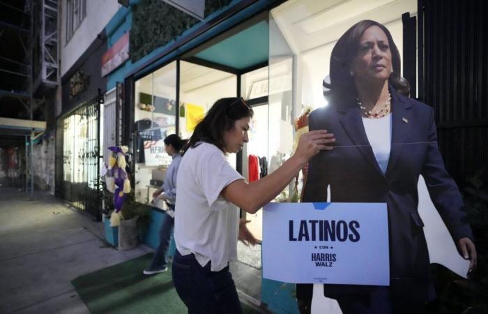 ¿Cómo pudo Kamala Harris perder el voto latino?