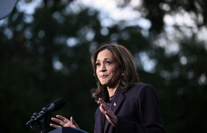 La derrota de Kamala Harris o el fracaso de la estrategia demócrata