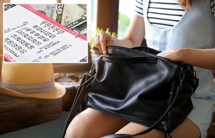 Mujer de Illinois encuentra un billete de lotería valorado en un millón de dólares en su bolso