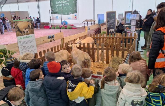 En imágenes: Ferme de Côte-d’Or abre sus puertas en la Feria Gastronómica de Dijon