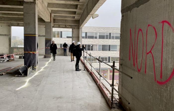 ¿Cómo será la gigantesca biblioteca de Pont de Bois?