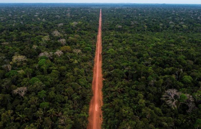 Tasa de deforestación en la Amazonía brasileña en su nivel más bajo en nueve años