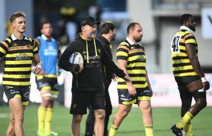 Pro D2 – Stéphane Prosper (Stade Monois): “El Stade Monois es una bestia enferma que debe ser tratada rápidamente”