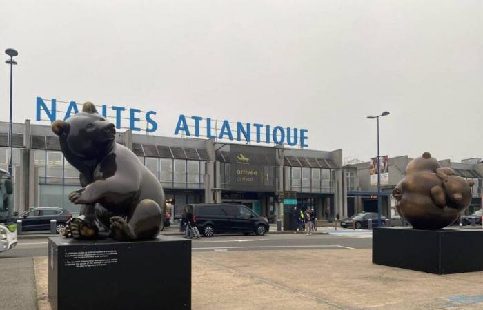 En el aeropuerto de Nantes, tres oseznos gigantes anuncian la exposición de Michel Bassompierre, en Vertou