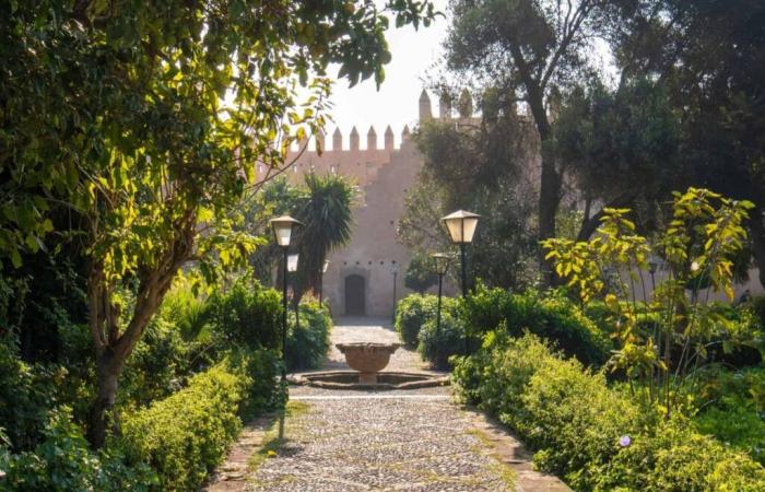 En el Jardin d’Essais, el arte de El Ghrib florece bajo el signo de los vivos