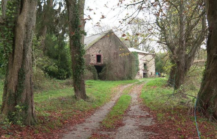 Por qué un campo de golf no debería ver la luz a pesar de la terquedad de los promotores