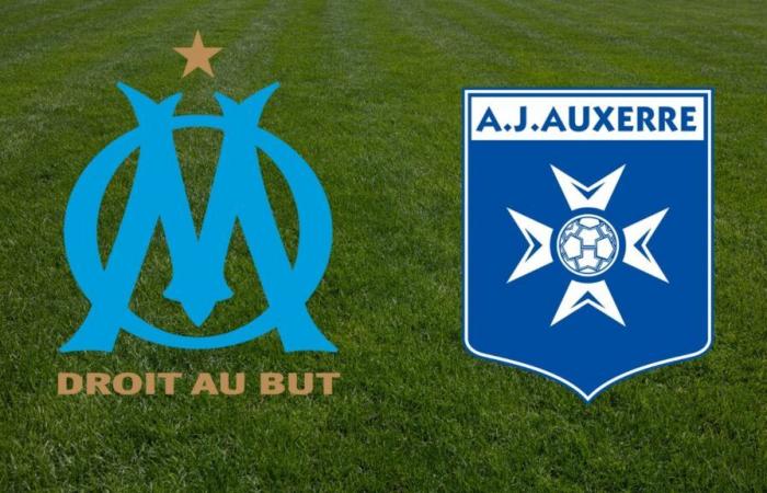 Auxerre: ¿a qué hora y en qué canal ver en directo el partido de la Ligue 1?