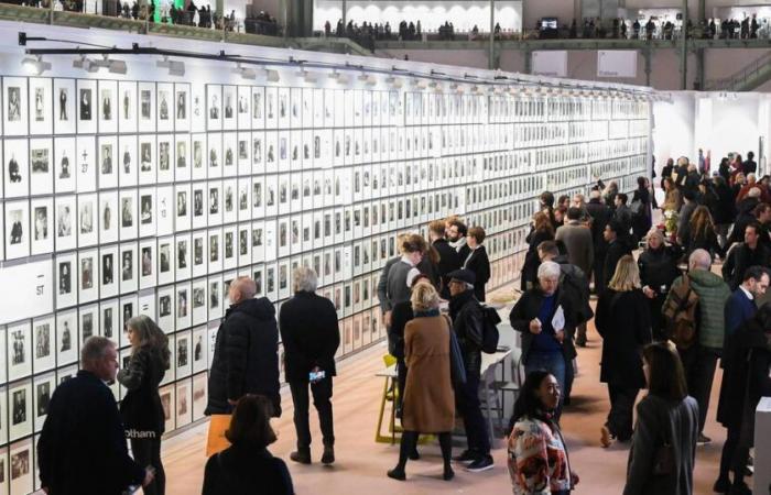 Entra en el mundo de la fotografía que regresa por todo lo alto en el Grand Palais.