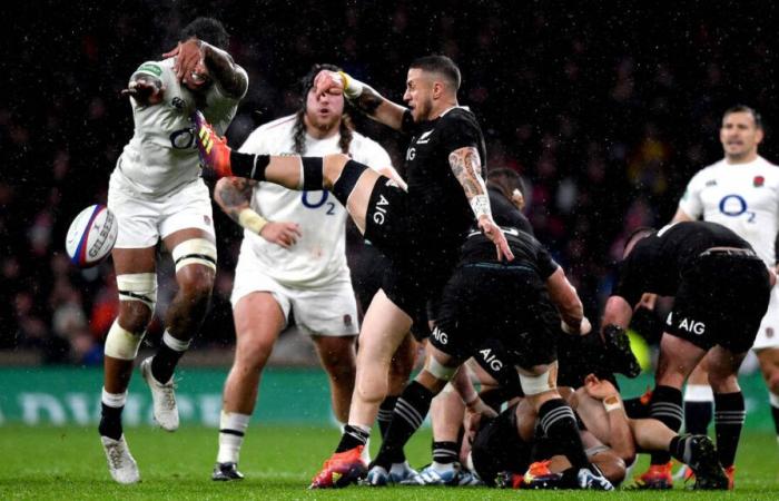 DIRECTO. Irlanda – All Blacks: sigue en directo el partido de la gira de otoño