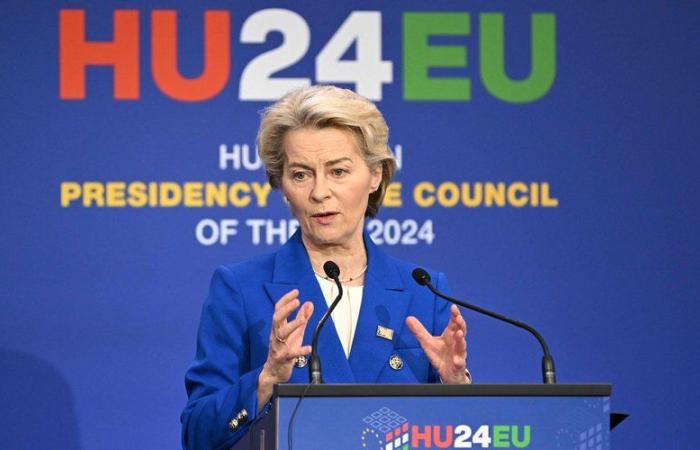 “Más barato para nosotros”: ¿hacia el fin del gas ruso en Europa? Por qué Ursula Von der Leyen quiere recibir suministros de Donald Trump